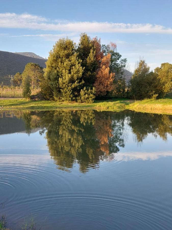 20 Good Summers Farm Stay The Crags Exteriér fotografie