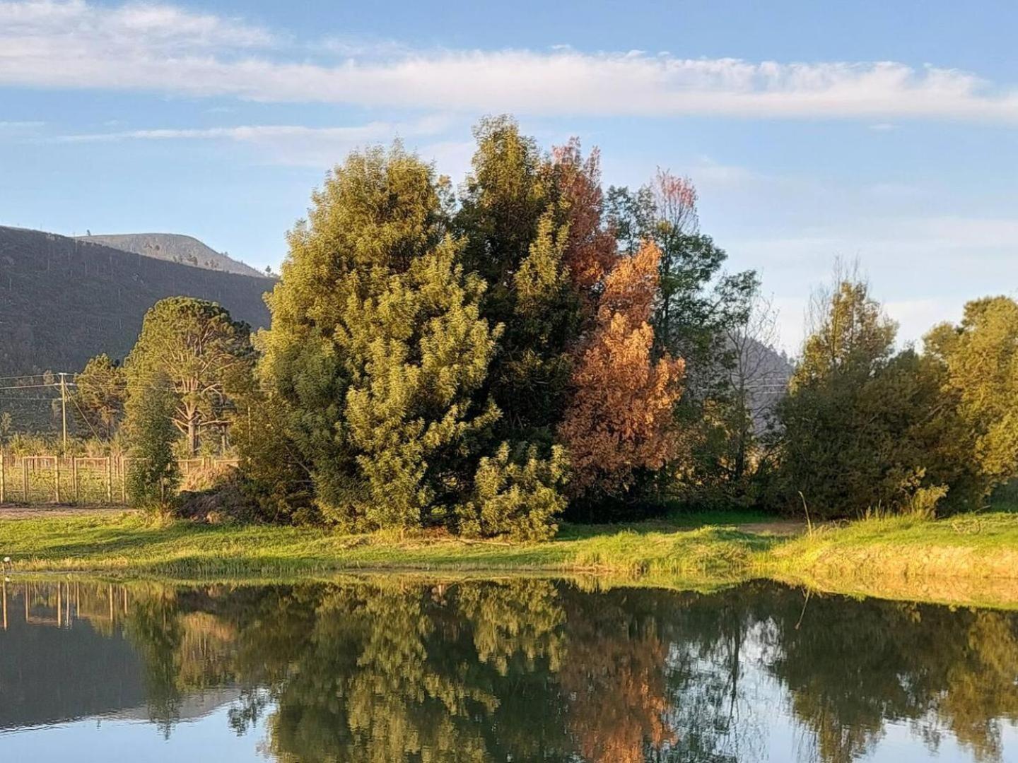 20 Good Summers Farm Stay The Crags Exteriér fotografie