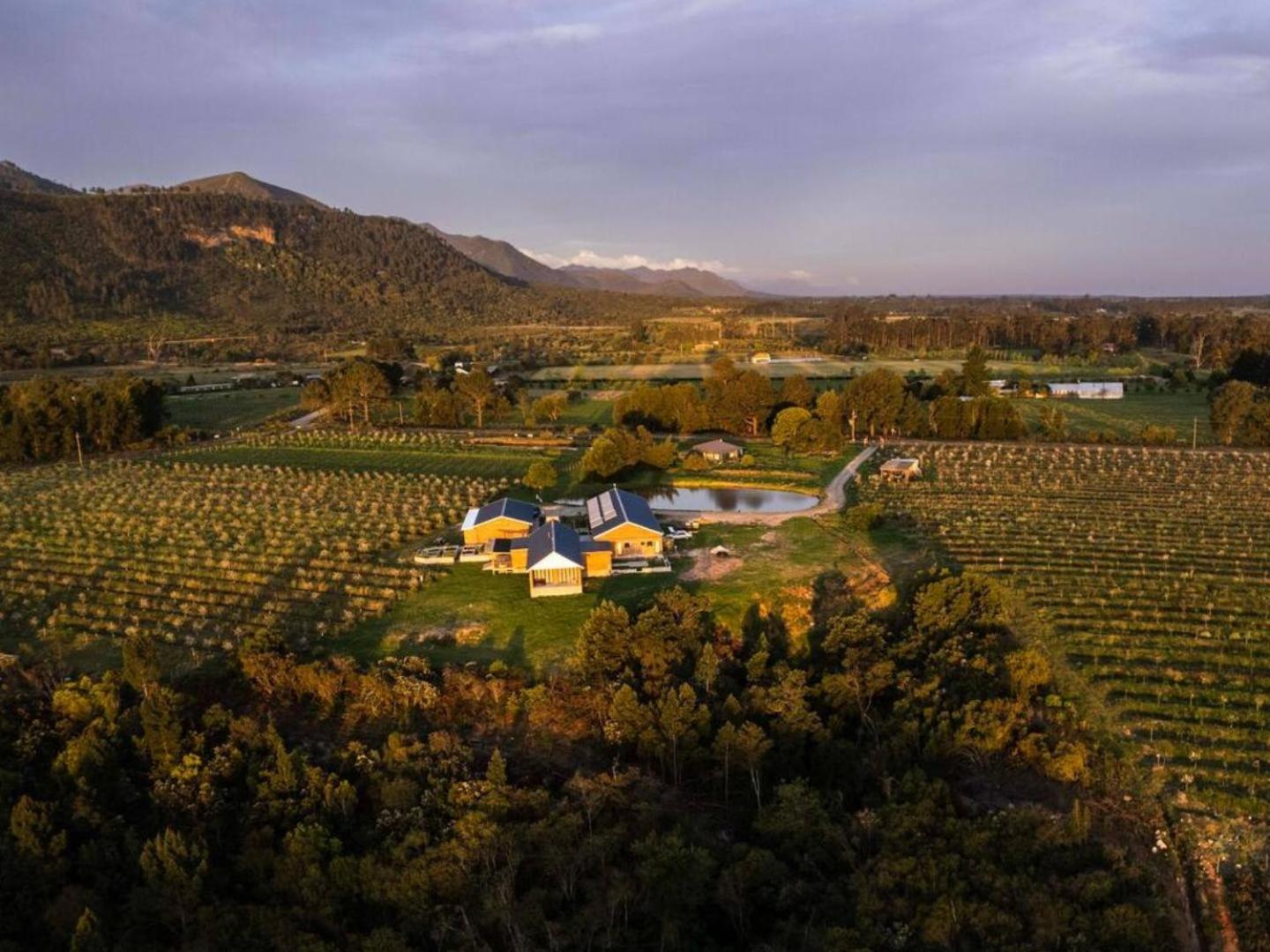 20 Good Summers Farm Stay The Crags Exteriér fotografie