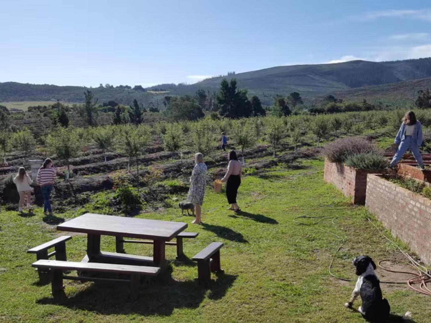 20 Good Summers Farm Stay The Crags Exteriér fotografie