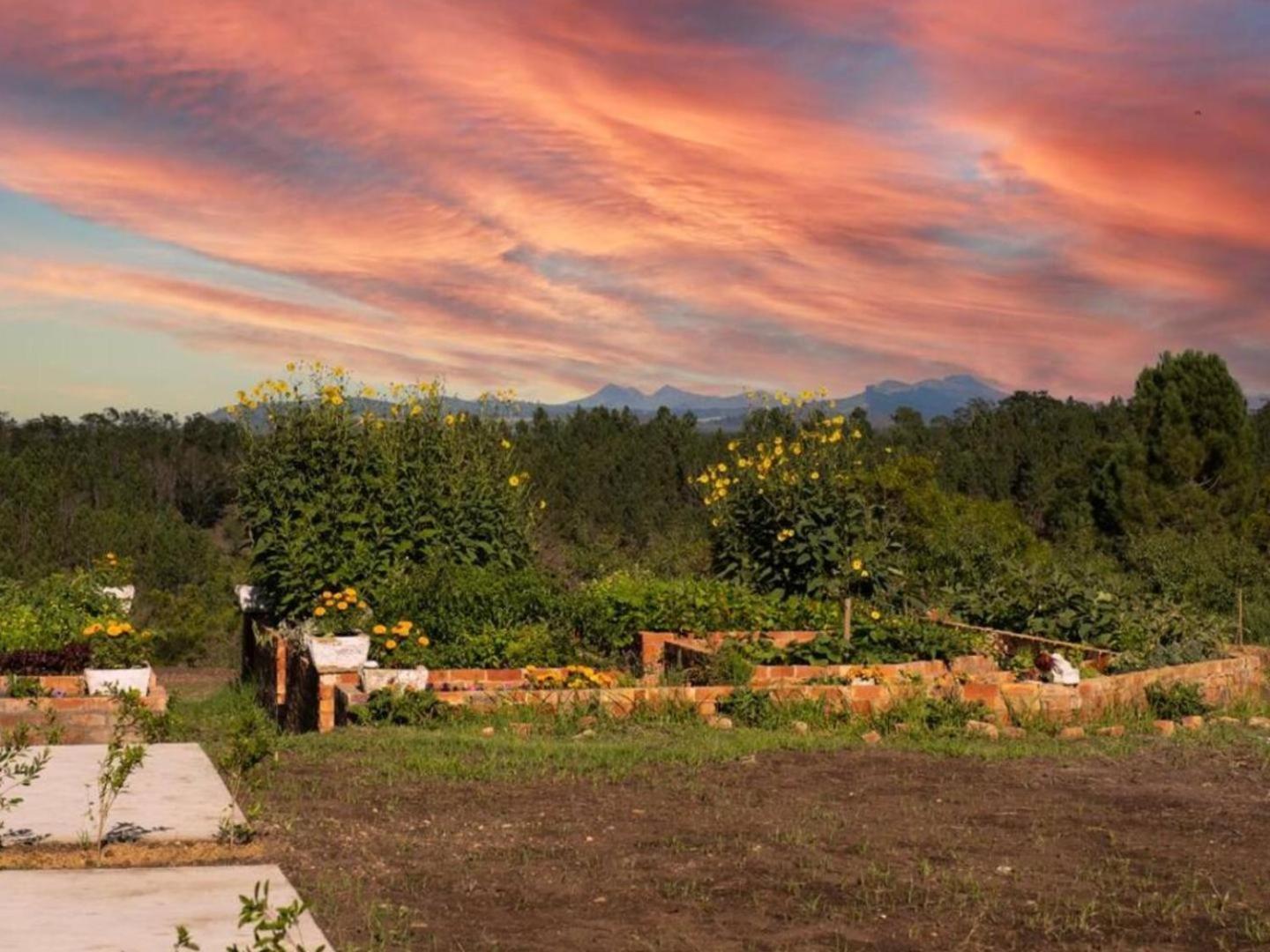 20 Good Summers Farm Stay The Crags Exteriér fotografie