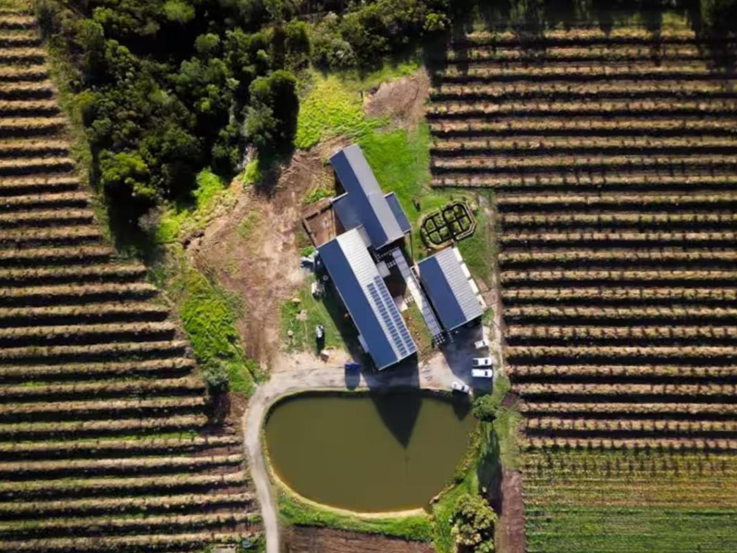 20 Good Summers Farm Stay The Crags Exteriér fotografie