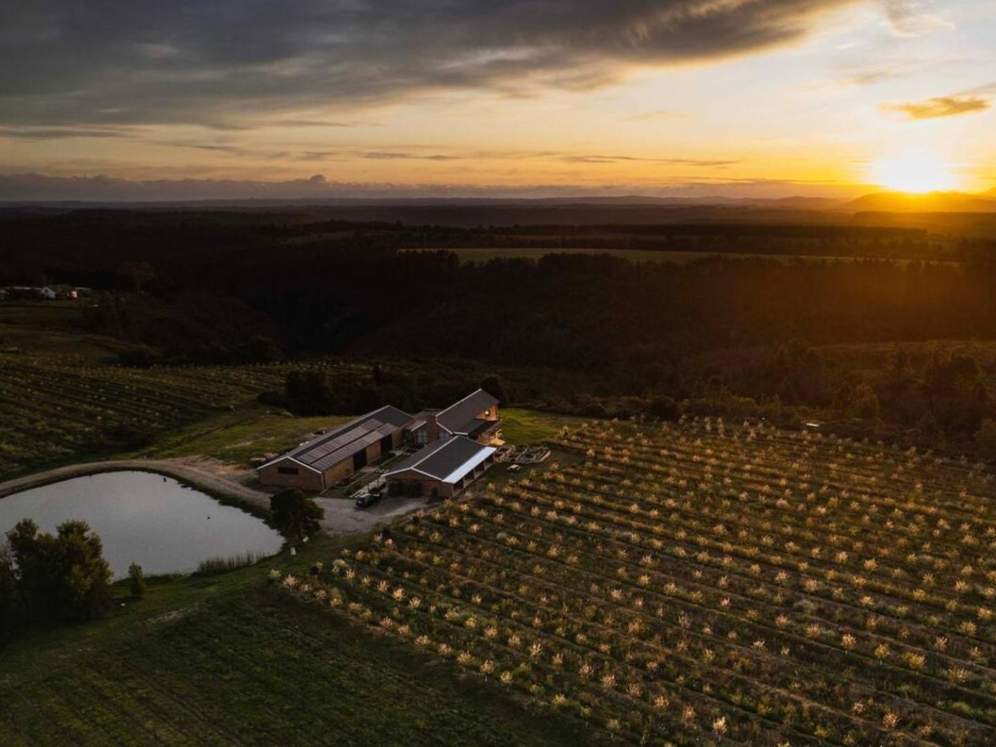 20 Good Summers Farm Stay The Crags Exteriér fotografie